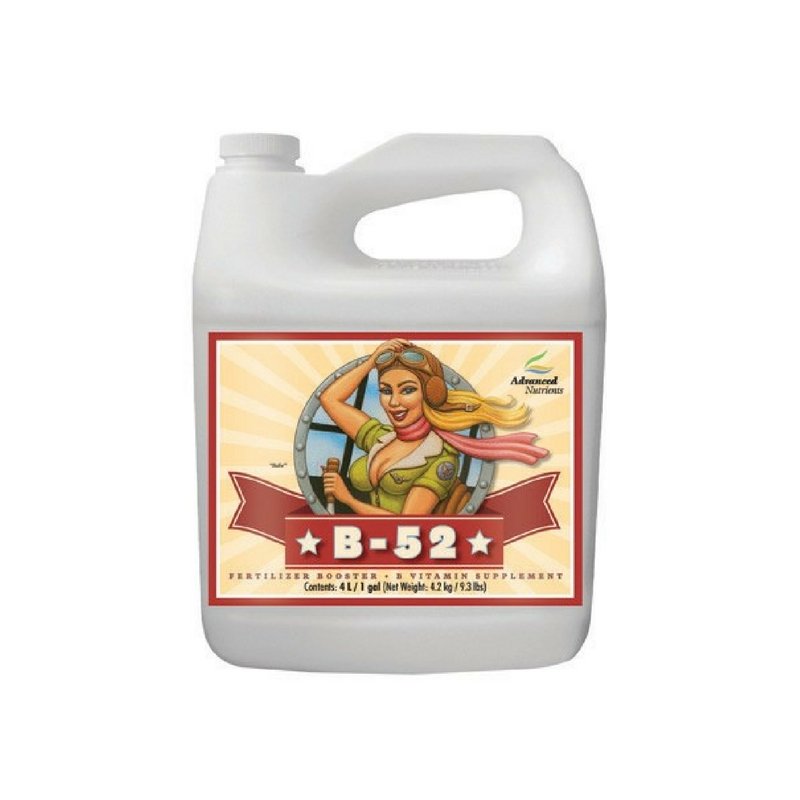Advanced Nutrients B-52 Vitamin Additive - 1L