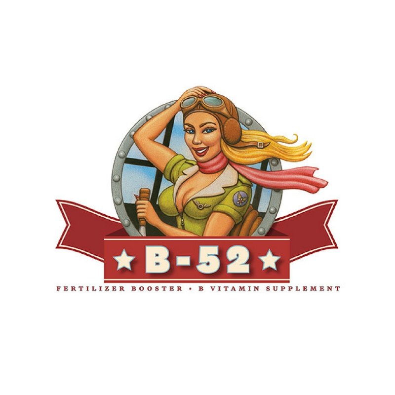 Advanced Nutrients B-52 Vitamin Additive - 250ml