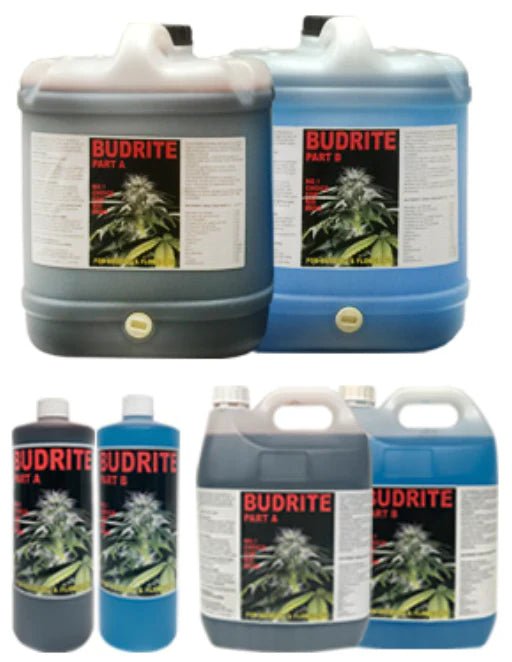 Budrite a+b | 1L / 5L / 20L | Flower Nutrients
