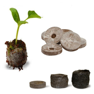 Base Coco Pellet Propagation Kit - For Seeds + Smaller Plants