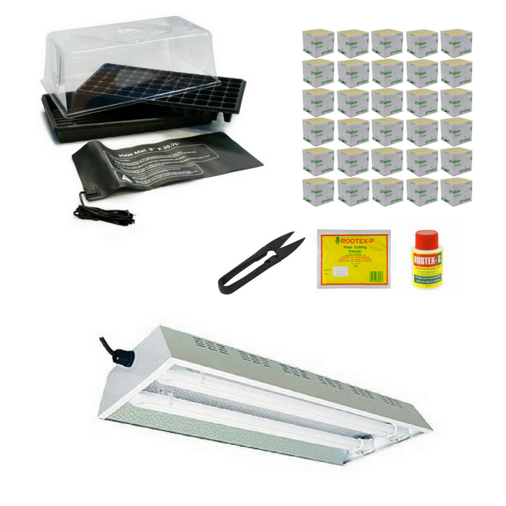 Complete Propagation Kit - PL Fluorescent - For Larger Plants