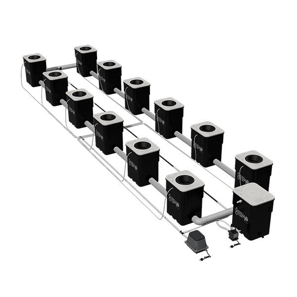 Current Culture UC 12XXL