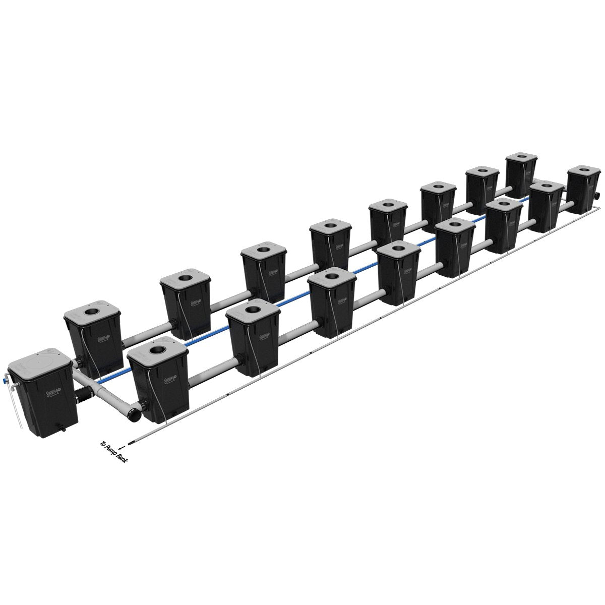 Current Culture UC 16XXL