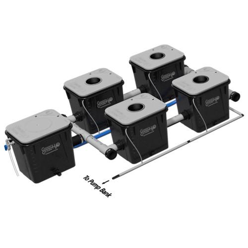 Current Culture UC 4XL