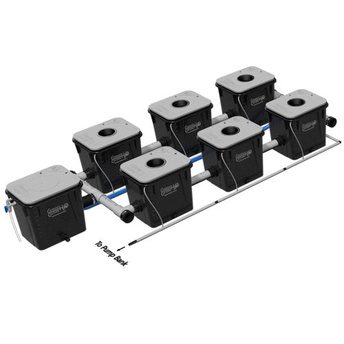 Current Culture UC 6XL