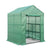 Greenhouse Garden Tunnel Shed - 2M X 1.55M