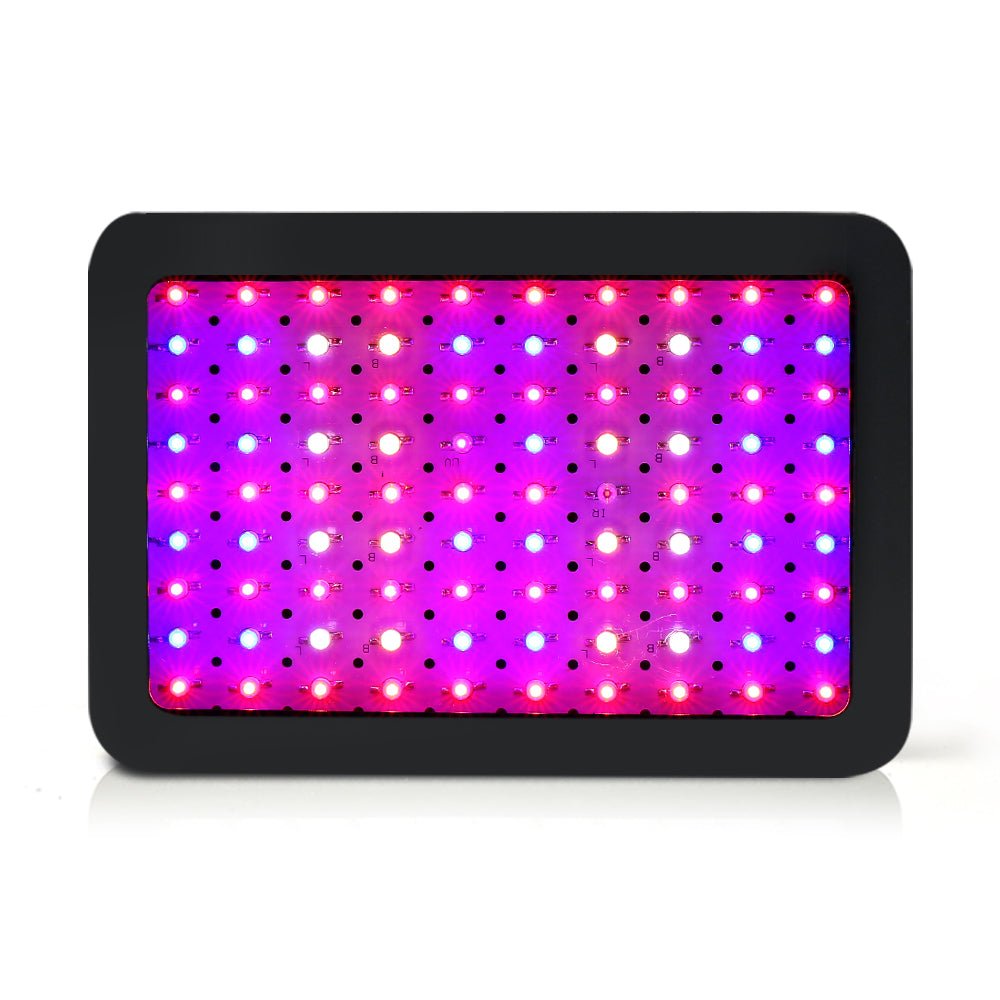 1000w led grow light clearance cost per month