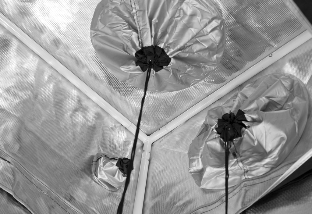 Gorilla Grow Tent 305 X 305 X 213-244cm