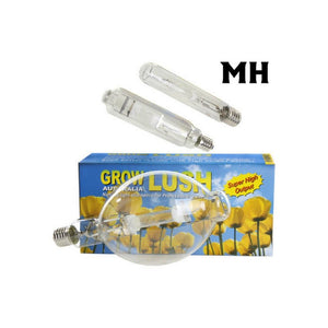 GL MH 400W Retro Lamp Bulb - 3700K