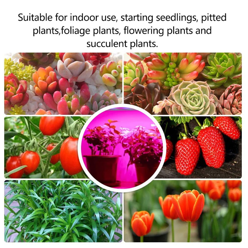 Dimmable 40W LED Grow Light Strips