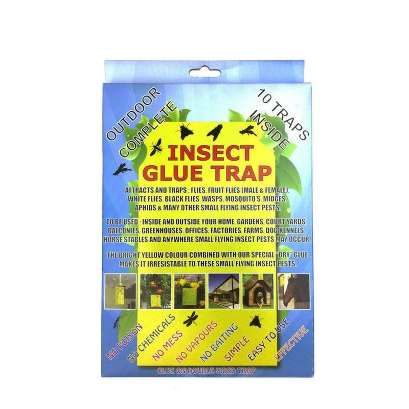 Insect Glue Traps