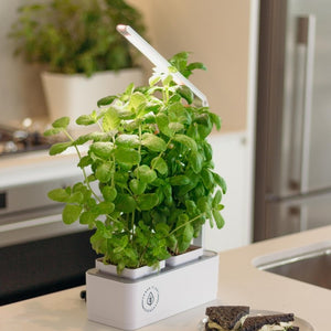Indoor Smart Garden For Kitchens