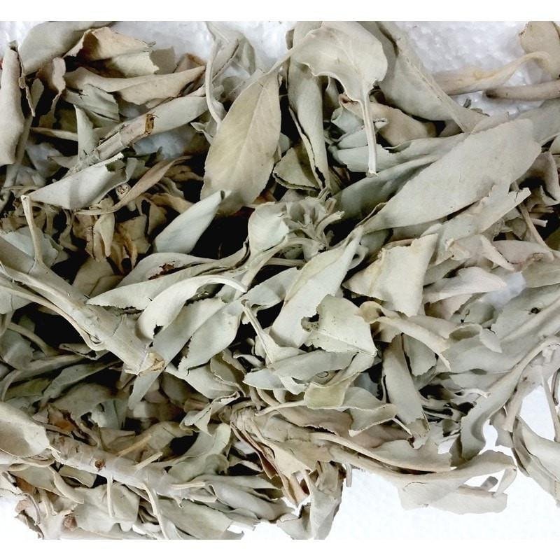 Loose White Sage - 1lb