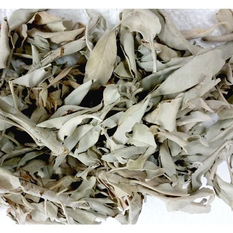 Loose White Sage - 50 grams