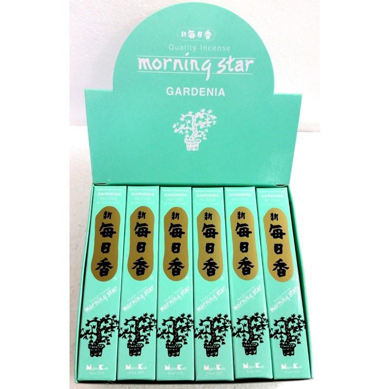 Morning Star - Gardenia