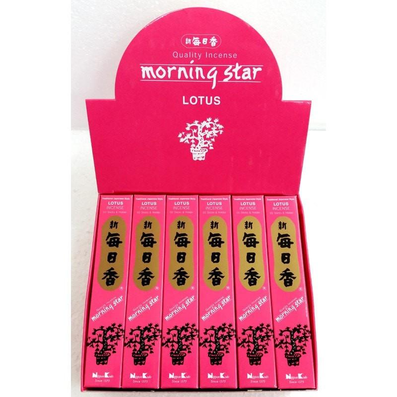Morning Star - Lotus