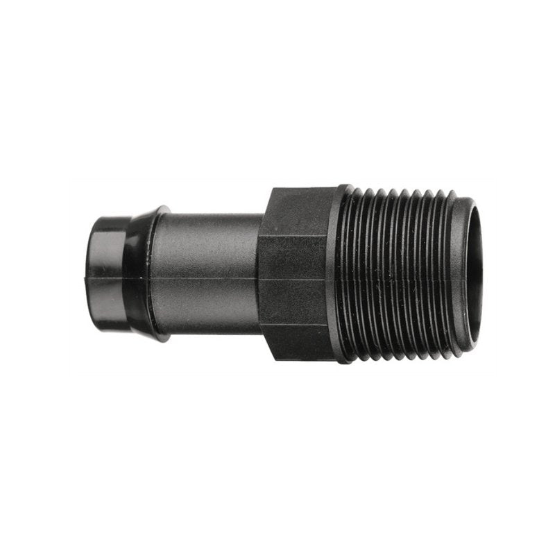 Male Director Tail - 19mm