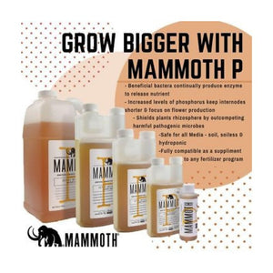 Mammoth P / Microbe Phosphorus Booster - 120ml