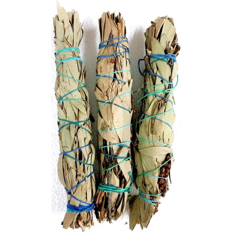 Smudge Stick - Coastal Swamp