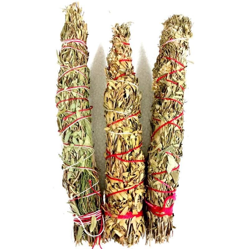 Smudge Stick - Cassinia