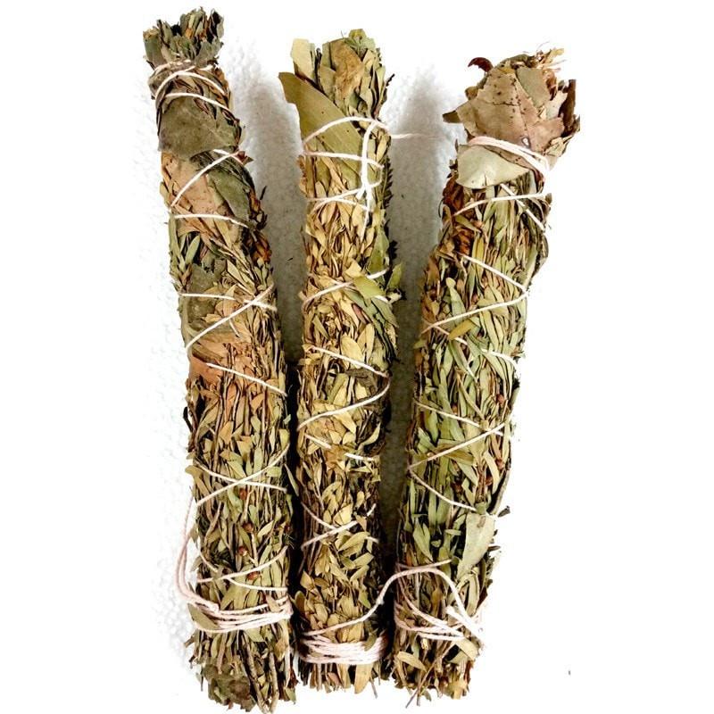 Smudge Stick - Tree Fern