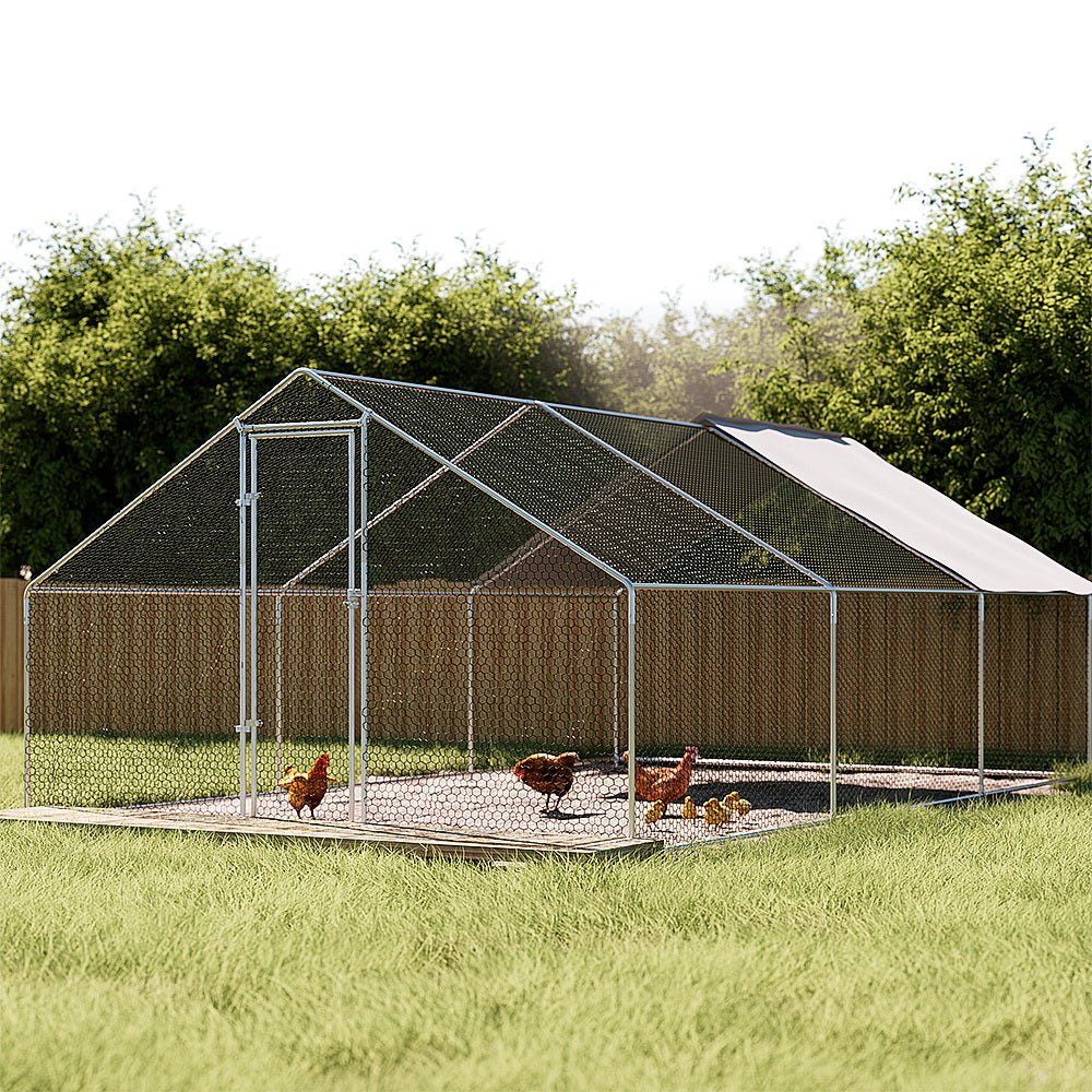 Chicken Coop Cage | Large Walk-In | Hen Enclosure Cover | 3m X 6m