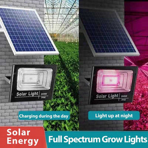 Outdoor Solar LED Flood Grow Light | IP66 | 35-60 Watts