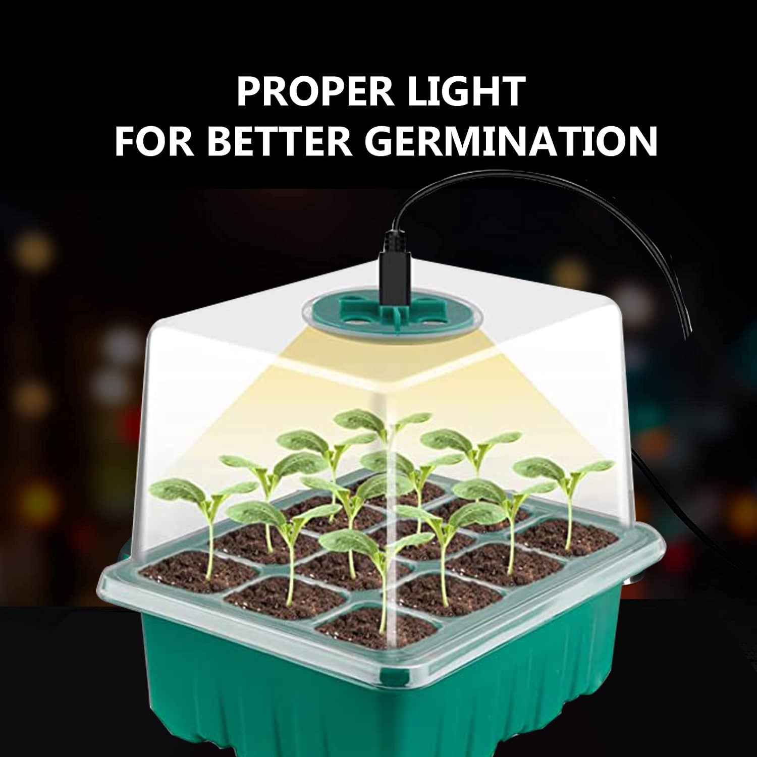 Led light clearance for seedlings