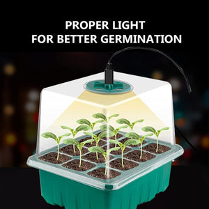 Propagation Seed Raising Kit | USB Powered Grow Light + Inbuilt Timer