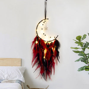 Moon And Star Dream Catchers With Feathers | Various Colours