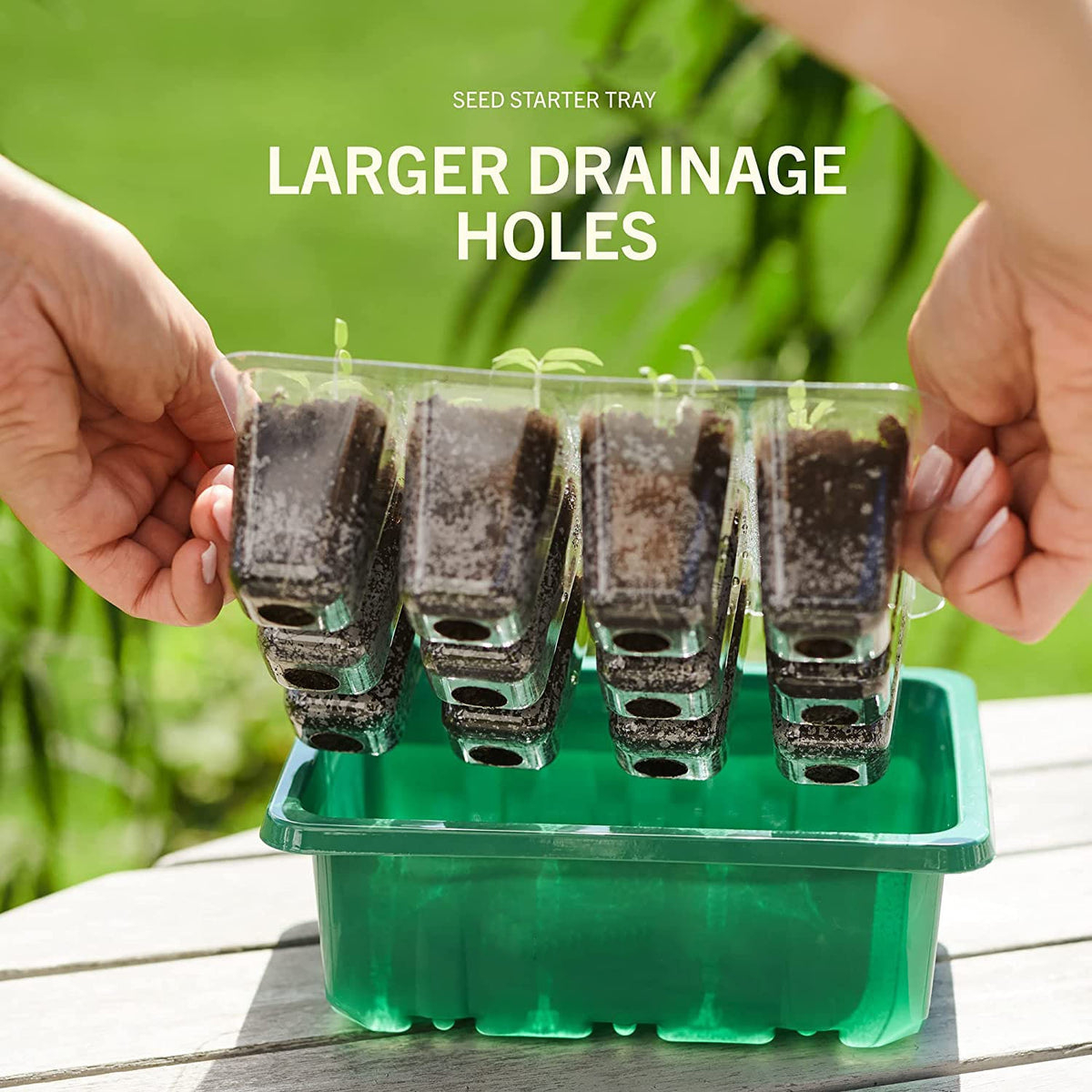 Propagation Seed Raising Kit | USB Powered Grow Light + Inbuilt Timer