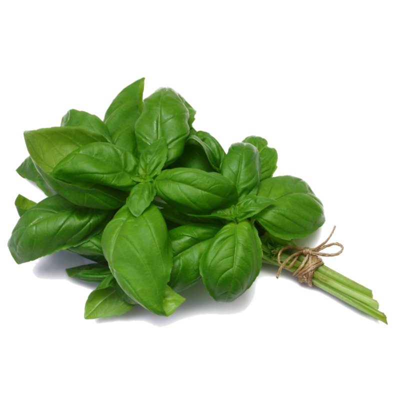 Smart Garden Basil Seeds