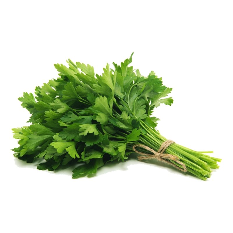 Smart Garden Coriander Seeds