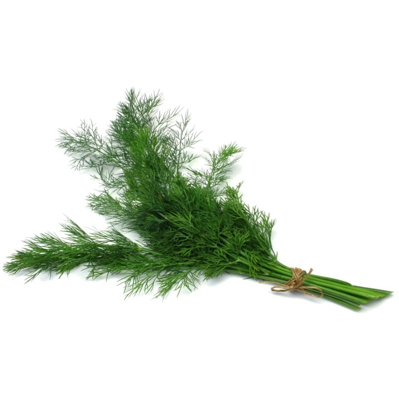 Smart Garden Dill Seeds