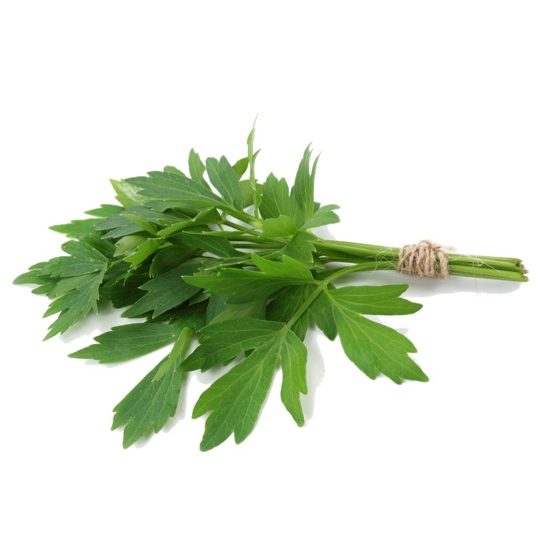 Smart Garden Lovage Seeds