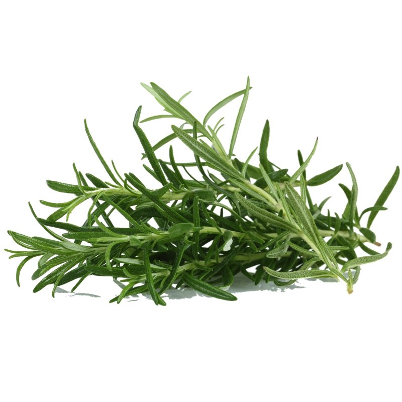 Smart Garden Rosemary Seeds