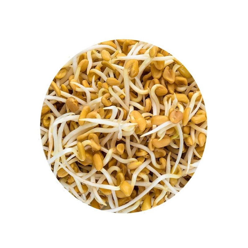 Smart Garden Sprouting Fenugreek Seeds