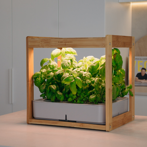 Wooden Kitchen Smart Garden With LED Grow Light