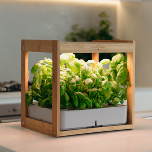 Wooden Kitchen Smart Garden With LED Grow Light