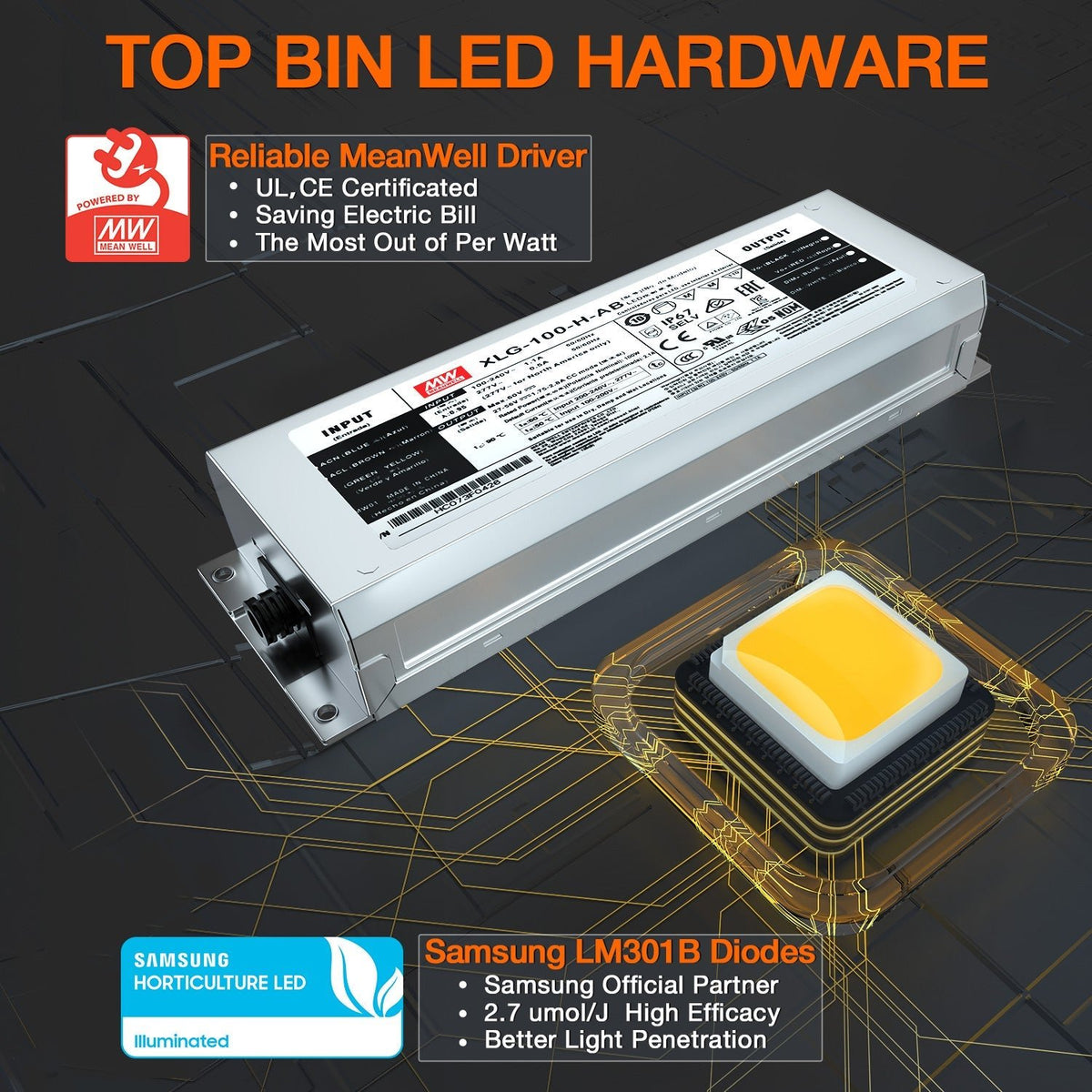 Spider Farmer LED Grow Light - SF4000