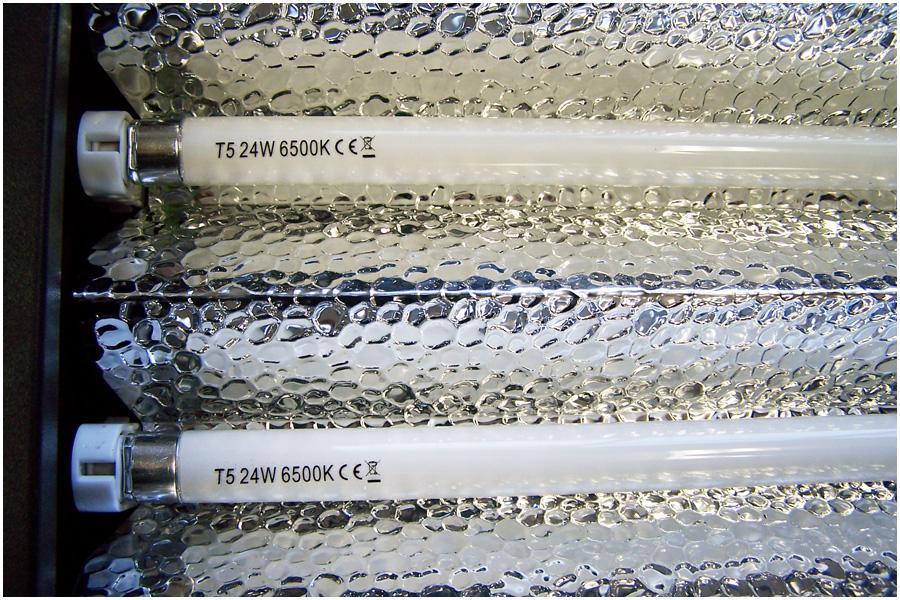 T5 Propagation Grow Light - 2 X 24W Tubes - 6400k