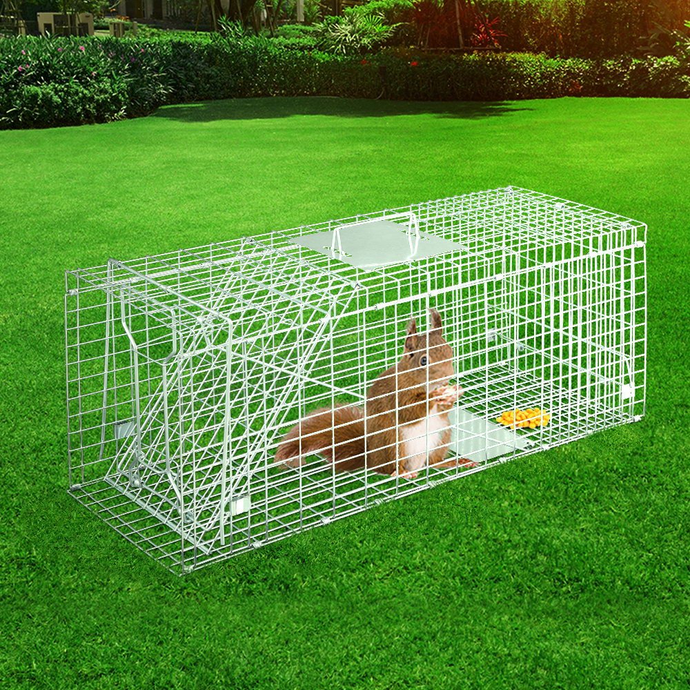 Humane Animal Trap | Live Catch Possum Cage | Rabbit Cat Hare Fox