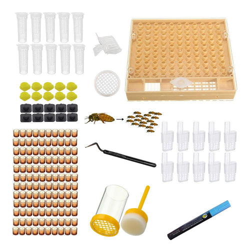 Queen Rearing Marking Kit (146 Pieces) for Beekeepers