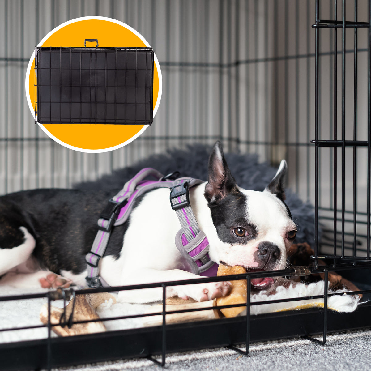 4Paws Foldable Pet Crate | 30" Metal Cage | Portable and Black