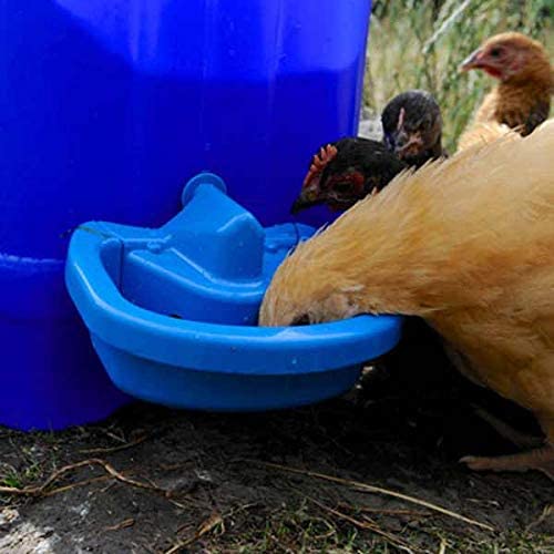Maxi-Cup Automatic Poultry Waterer Cups | Set of 2