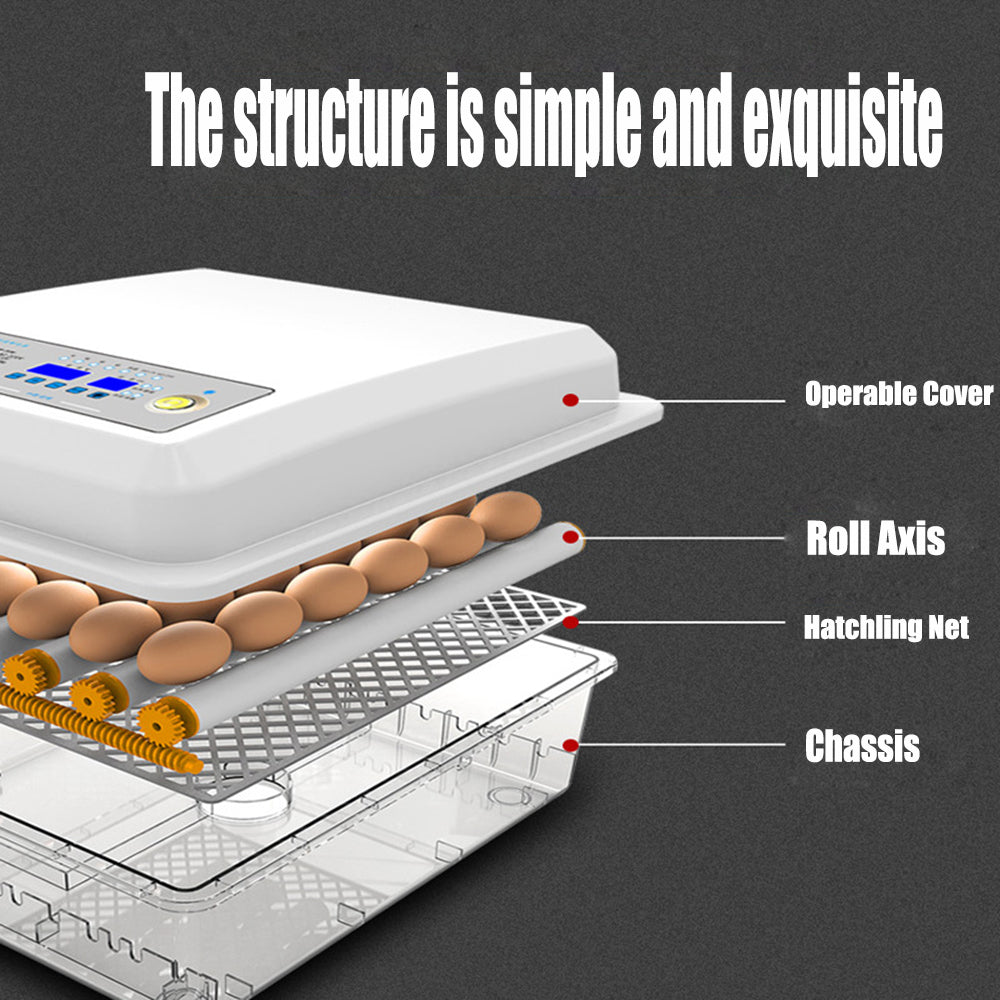 64 Egg Incubator Fully Automatic | Digital Thermostat Chicken Eggs Poultry