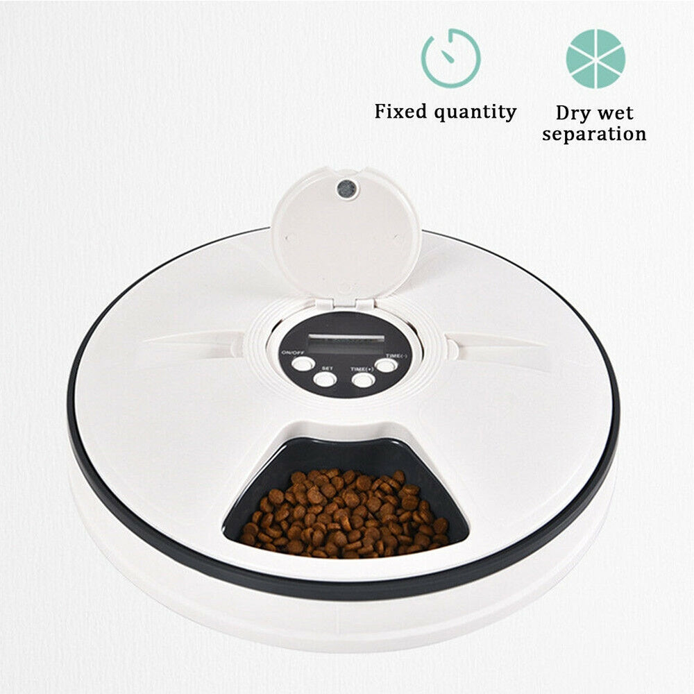 Digital on sale dog feeder