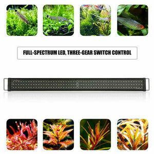 30cm Aquarium Light | Full Spectrum LED Lamp for Aqua Plants, Fish Tanks, Bars