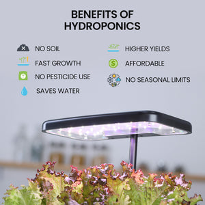 PLANTCRAFT 8 Pod Indoor Hydroponic Growing System | Water Level Window & Pump | Black