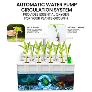 PLANTCRAFT 12 Pod Indoor Hydroponic Growing System | Fish Tank